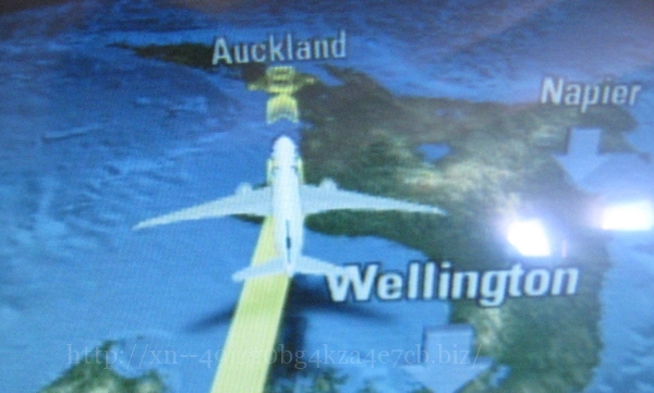 ニュージーランド航空の国内線